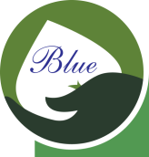 HỆ THỐNG LỌC BỤI CÔNG NGHIỆP - THIẾT BỊ BLUE